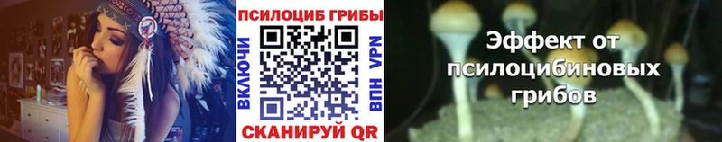 Галлюциногенные грибы Psilocybe  Апрелевка 