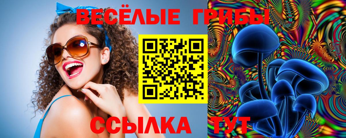 Псилоцибиновые грибы MAGIC MUSHROOMS Апрелевка