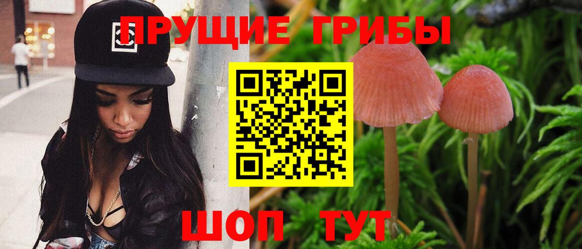 Апрелевка  Галлюциногенные грибы мухоморы  Галлюциногенные грибы Psilocybe  Вход с VPN 